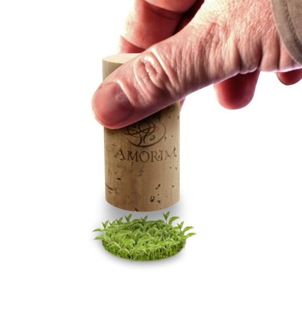 Amorim 1