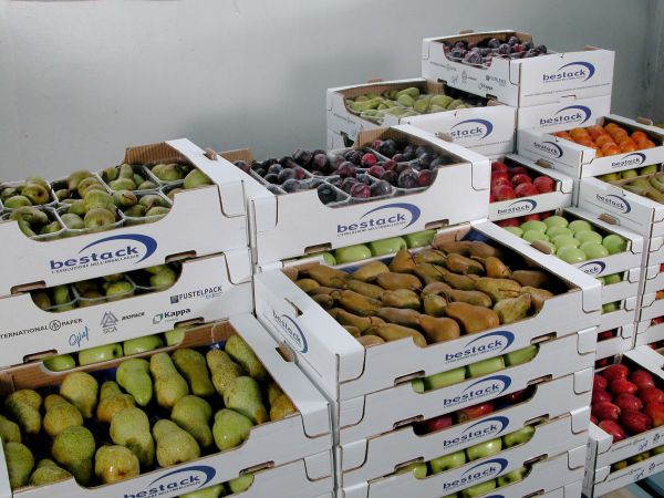 Imballaggi di cartone per frutta