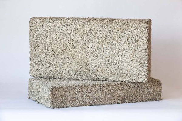 Biomattone Equilibrium