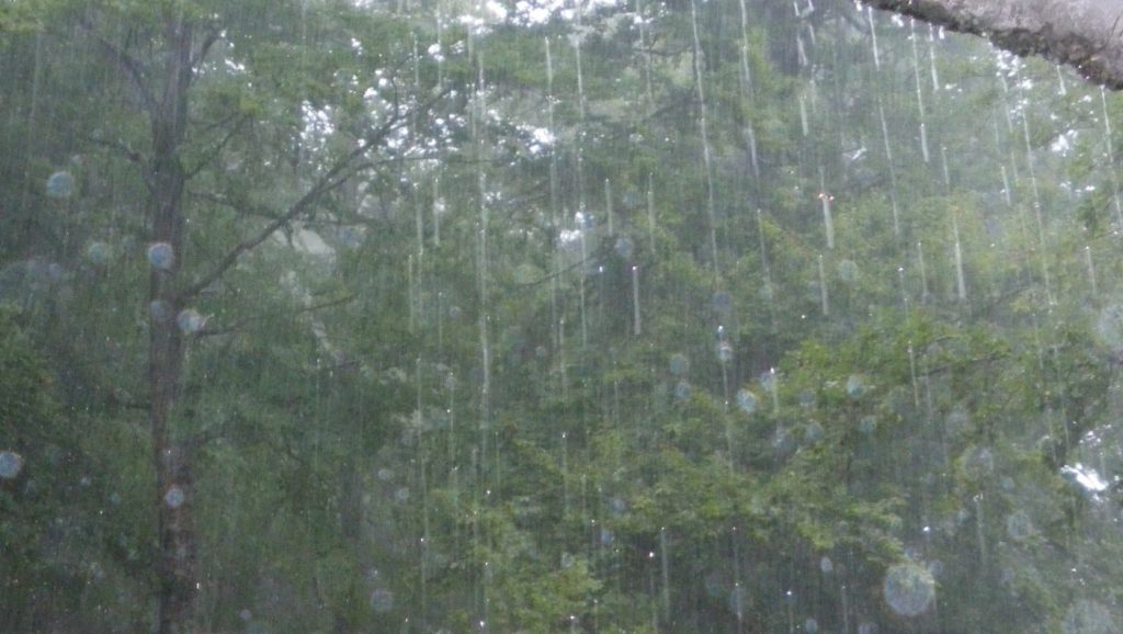 primavera piovosa - Protectaweb