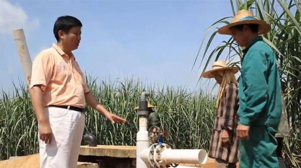 Accordo Cocacola e WWF