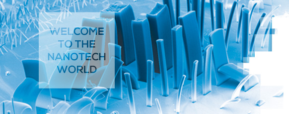 Nanoforum 2013 - logo