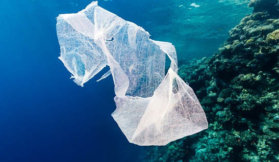 Plastica in mare