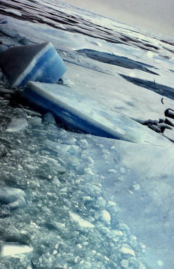 Cambiamenti climatici