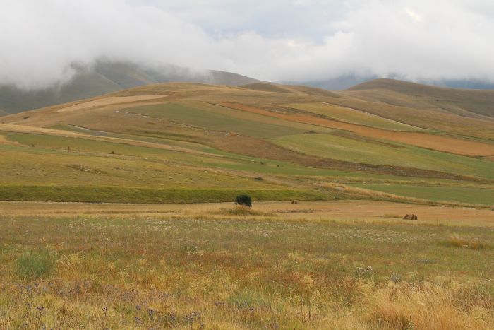 Castelluccio di Norcia