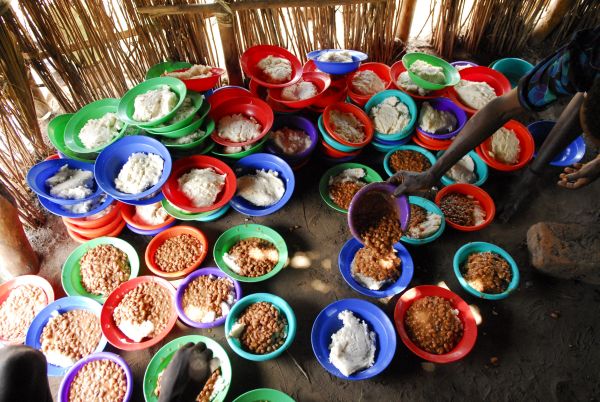 Alimentazione mondiale