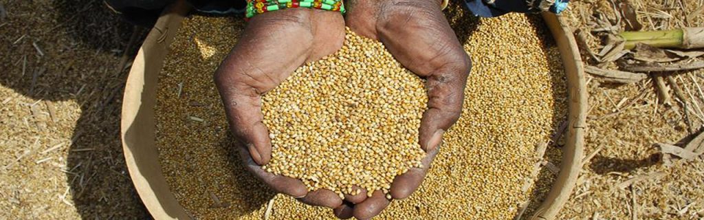 Carta di Milno - diritto al cibo