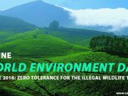 Go Wild for Life worldenvday
