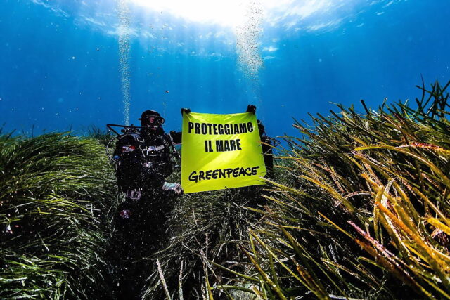 PROTECTAweb_Greenpeace-Italia-balle-ap