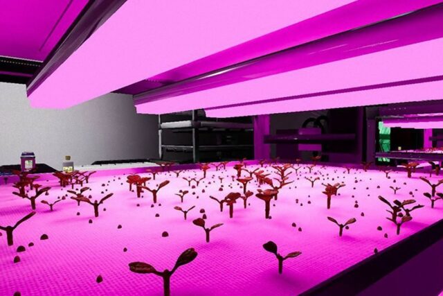 PROTECTAweb_V-GELM-ENEA