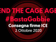 End the Cage Age: L’ICE (Iniziativa dei Cittadini Europei) per la fine dell’uso delle gabbie negli allevamenti