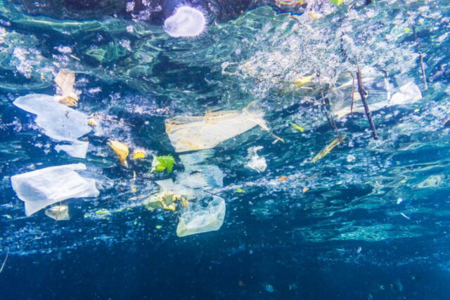 PROTECTAweb-CNR-plastica-in-Mare