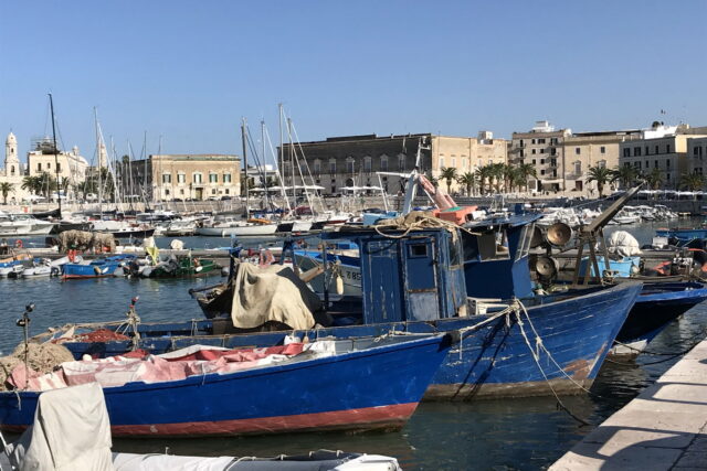 PROTECTAweb-Day-of-the-seafarer (2)