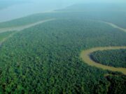 La deforestazione uccide anche le piogge
