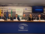 ECOMED: una Terra per tutti