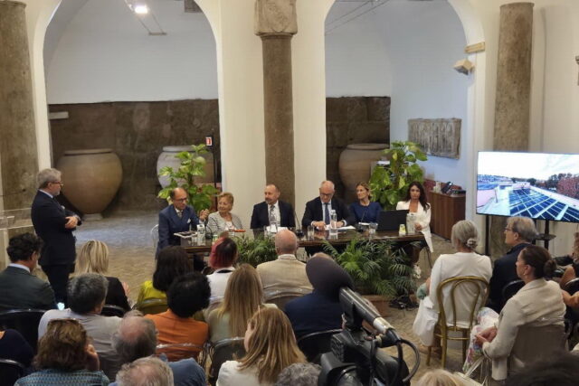 protectaweb-un-anno-di-CER