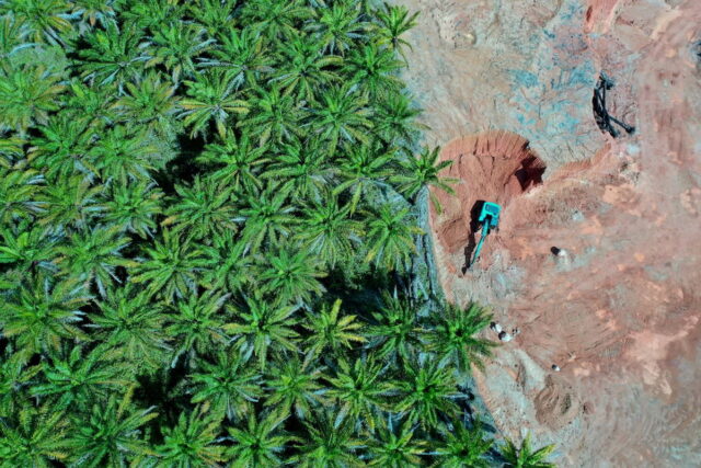 protectaweb-biocarburanti-ransport&Environment