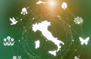 Avviata la fase di “scoping” per la VAS del Piano Nazionale di Ripristino della Natura