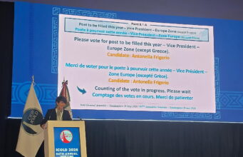 Energia idroelettrica e ingegneria delle dighe: il ruolo di Antonella Frigerio di RSE
