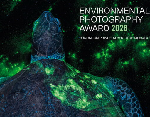 «Environmental Photography Award 2026», Fondation Prince Albert II de Monaco