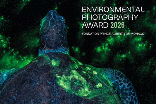 protectaweb-Environmental_Photography_Award_2026-Cove-apr