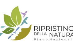 MASE: per i contributi alla bozza del Piano Nazionale di Ripristino, termine ultimo il 24 giugno 2026
