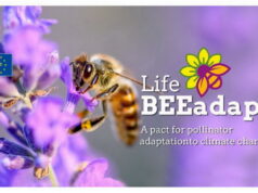 MASE: progetto LIFE BEEadapt per l’adattamento degli impollinatori ai cambiamenti climatici