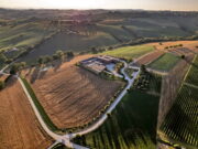 Stefano Boeri Architetti per Mancini Pastificio Agricolo: quando un’architettura cresce insieme alla terra