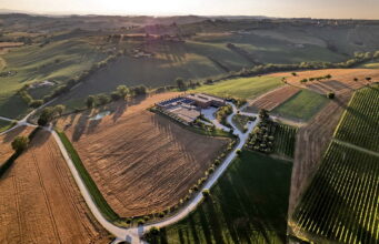 Stefano Boeri Architetti per Mancini Pastificio Agricolo: quando un’architettura cresce insieme alla terra