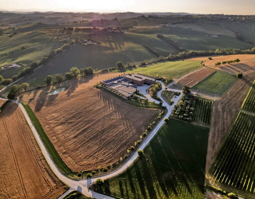Stefano Boeri Architetti per Mancini Pastificio Agricolo: quando un’architettura cresce insieme alla terra