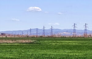 ARERA rafforza l’Unità di Vigilanza per l’aumento dei prezzi dell’energia elettrica