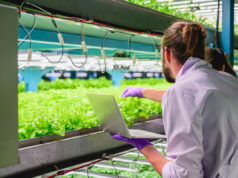 Foodtech Incubator, aperta la Call4Projects per le startup dell’agroalimentare
