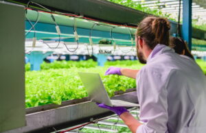 Foodtech Incubator, aperta la Call4Projects per le startup dell’agroalimentare