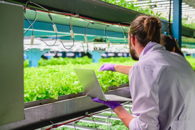Scientists team working and researching in hydro and organic farm