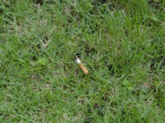 Avviata la consultazione pubblica sul regime di responsabilità estesa del produttore (EPR) per la filiera dei prodotti del tabacco