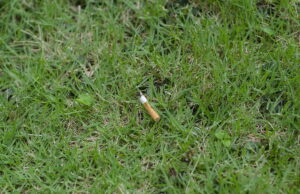 Avviata la consultazione pubblica sul regime di responsabilità estesa del produttore (EPR) per la filiera dei prodotti del tabacco